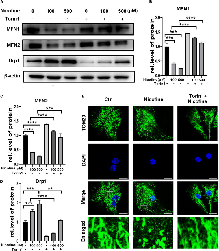 FIGURE 4