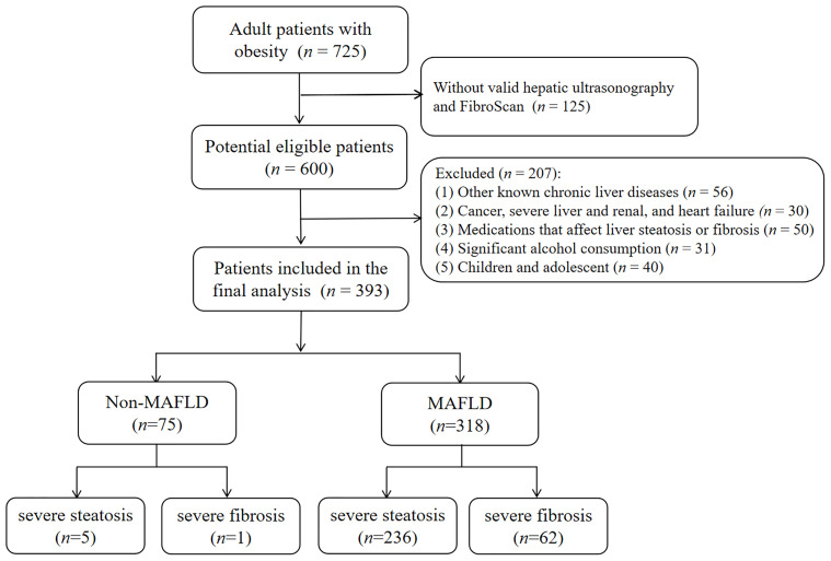 Figure 1