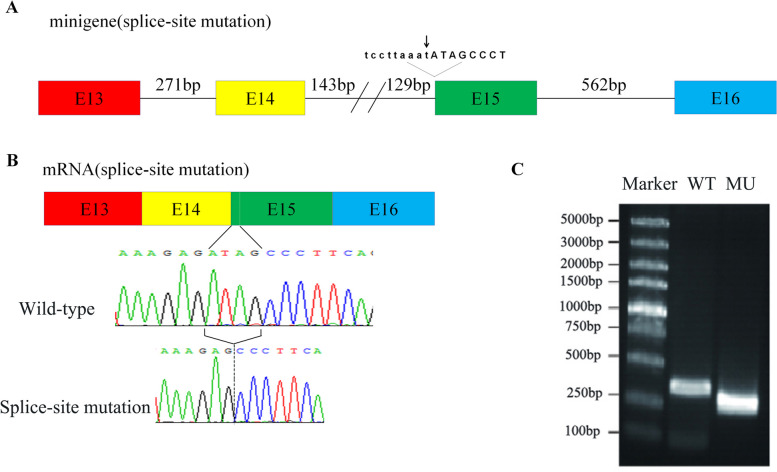 Fig. 4