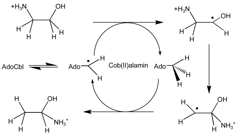 Scheme I