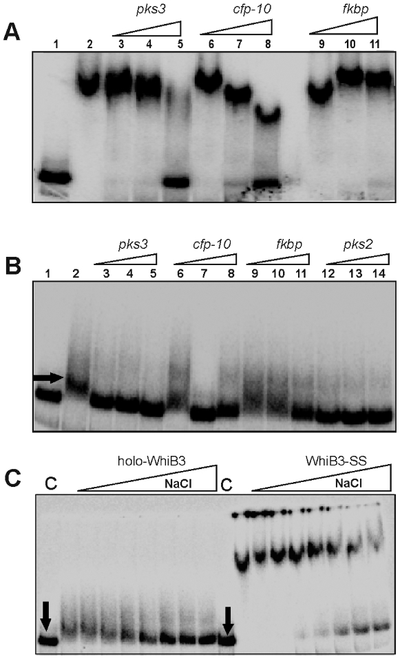 Figure 11