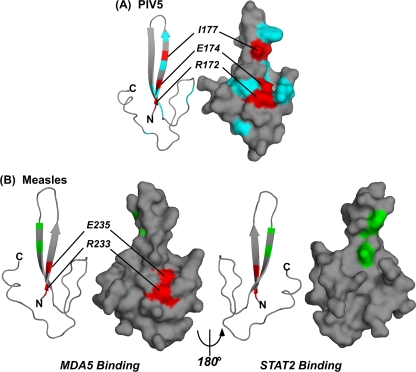 FIG. 6.