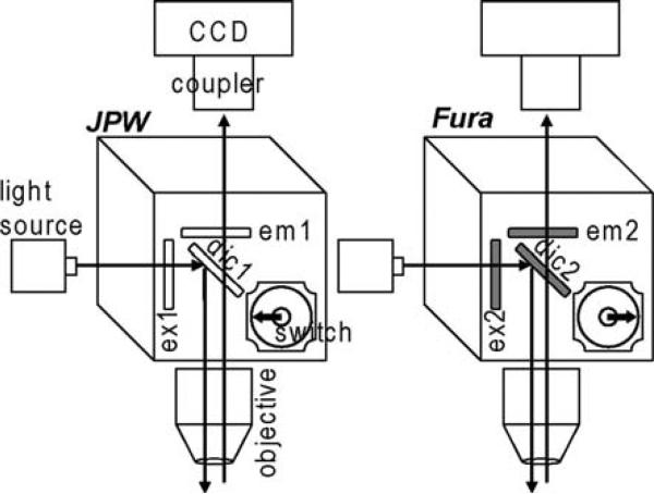 Fig. 1