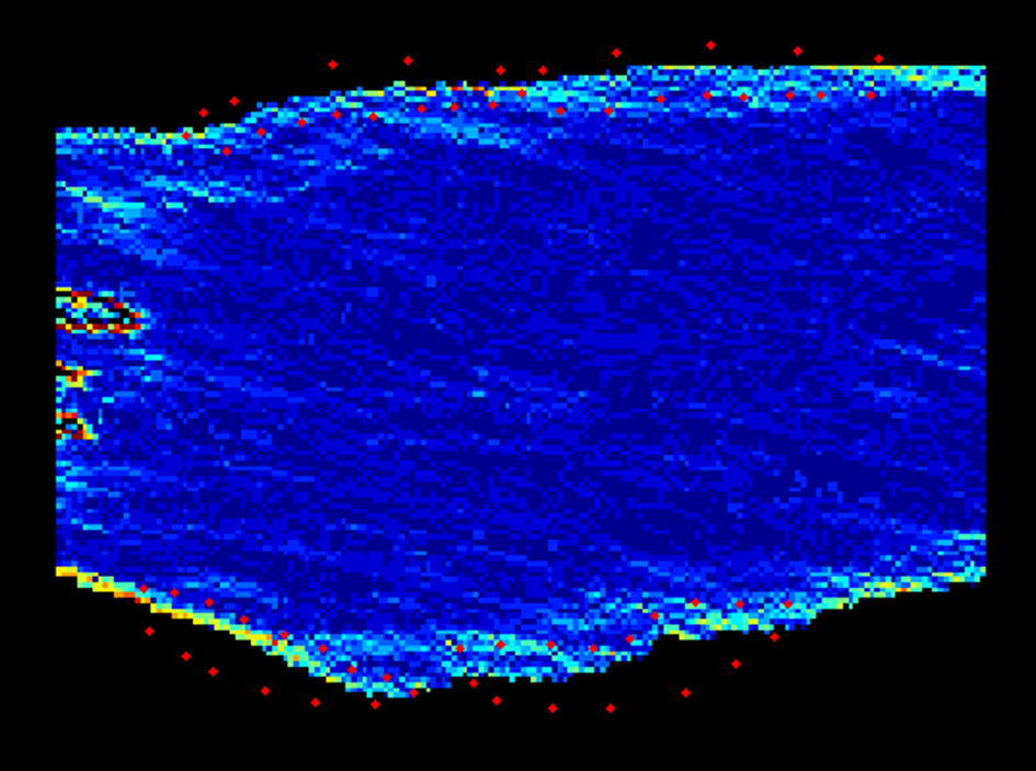 Fig. 2