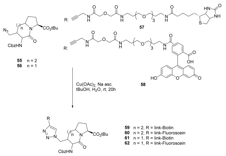 Scheme 7