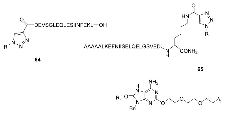 Figure 22