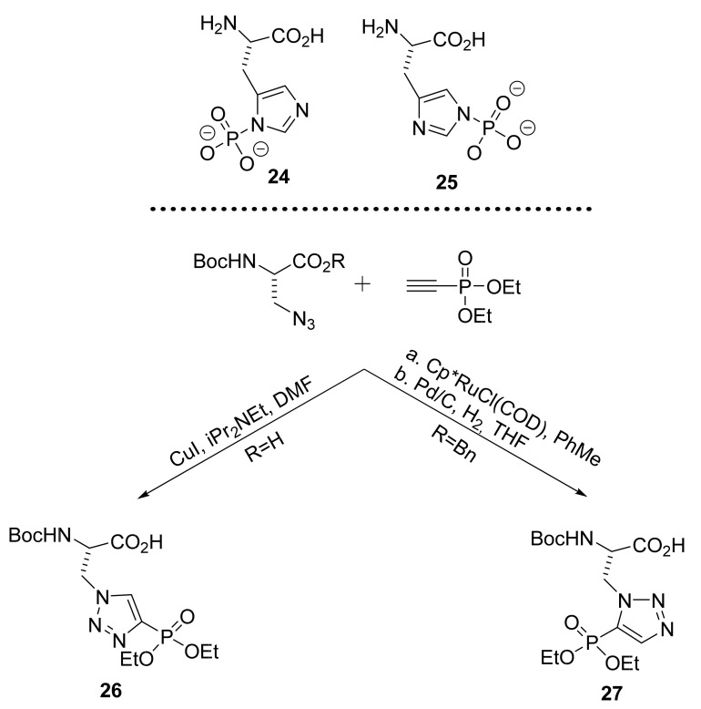 Scheme 6