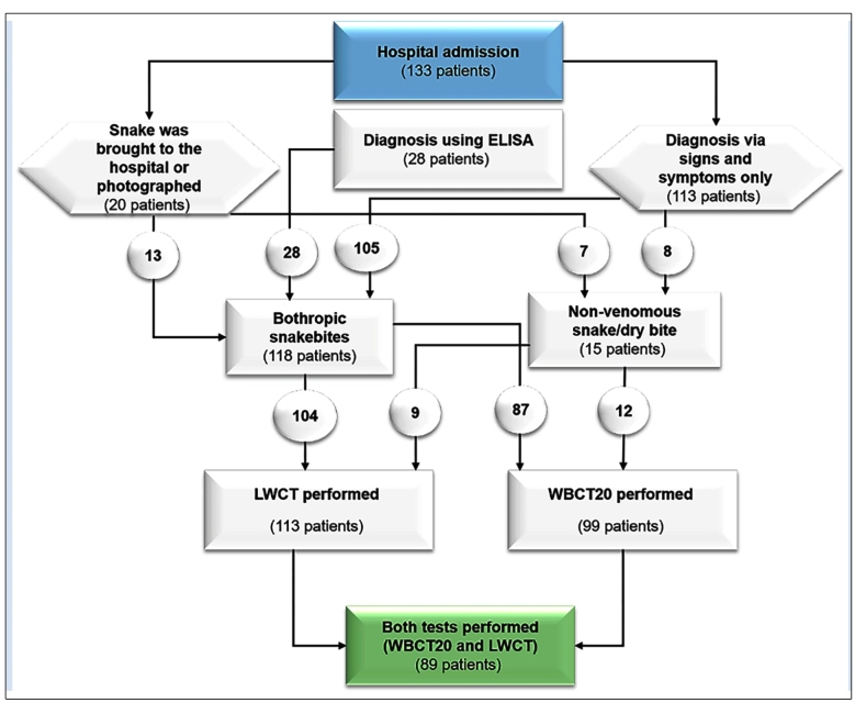 FIGURE 1: