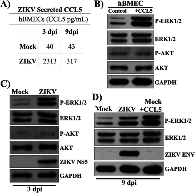 FIG 1