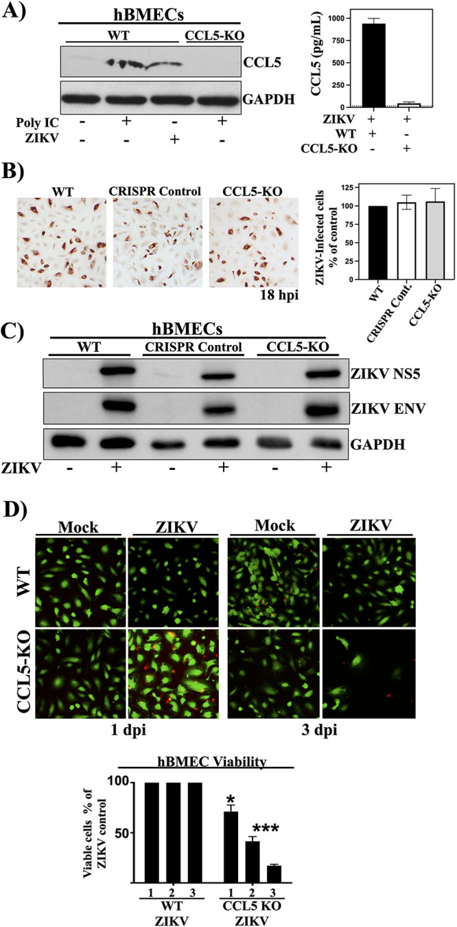 FIG 3