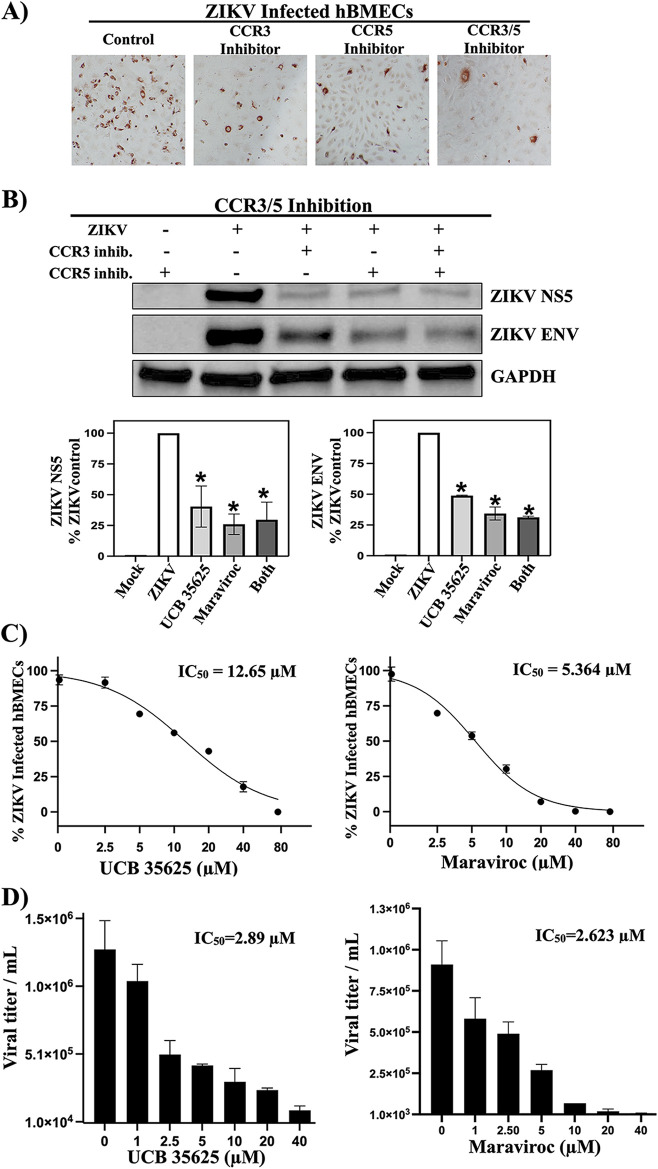 FIG 6