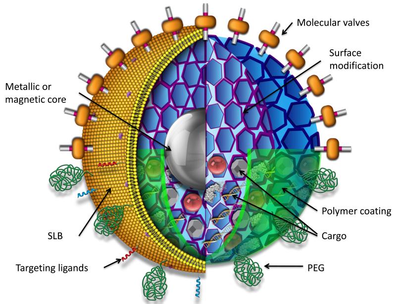 FIGURE 1