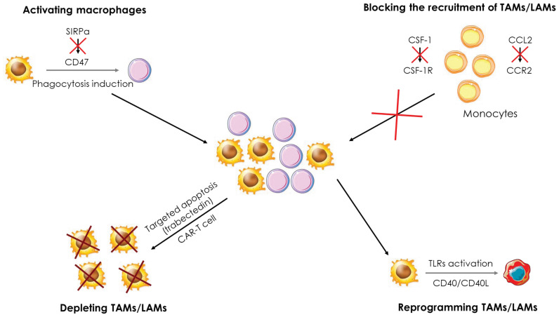 Figure 7