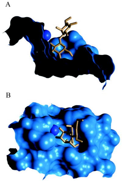 Fig. 9