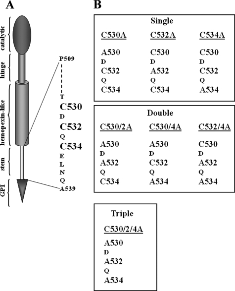 FIGURE 2.