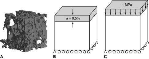 Fig. 2A–C