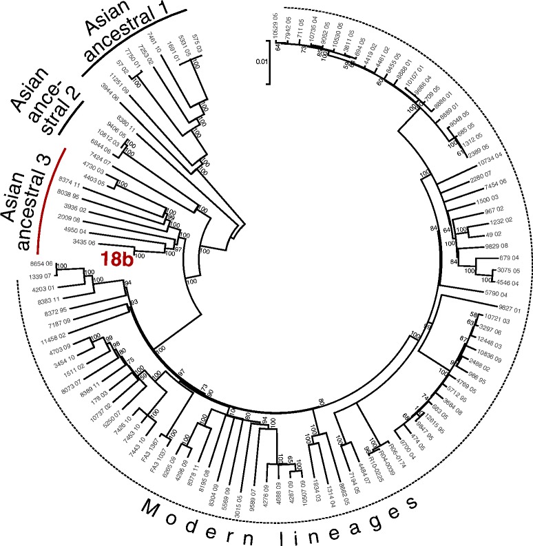 Fig. 1