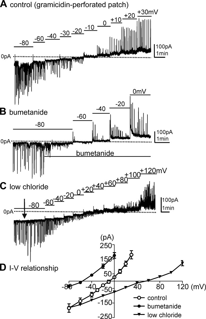 Fig. 3.