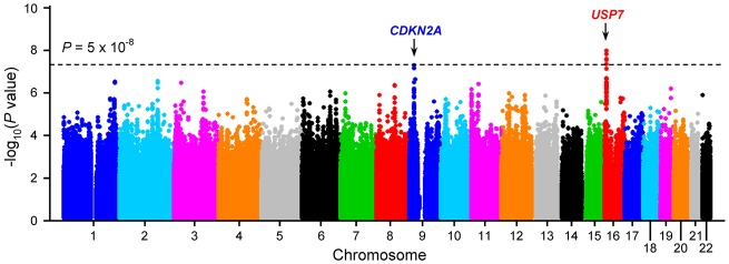 Figure 1.