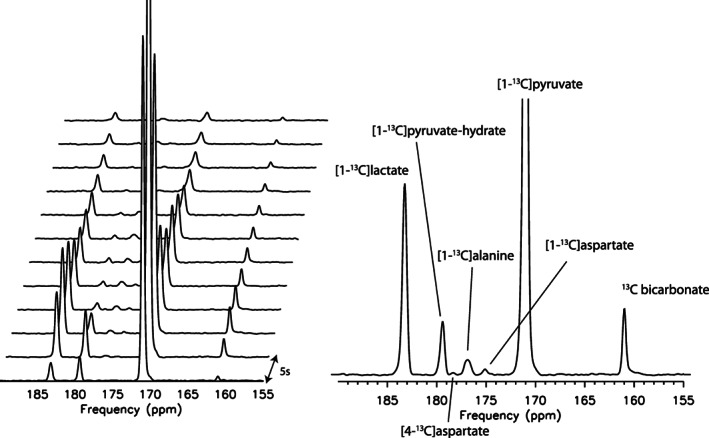 FIGURE 11