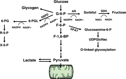 Figure 1