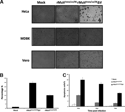 Fig 6