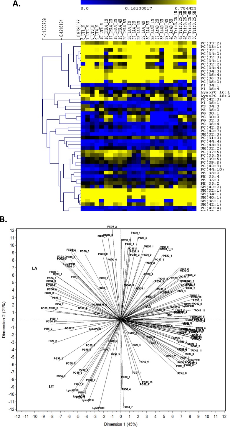 Fig 6