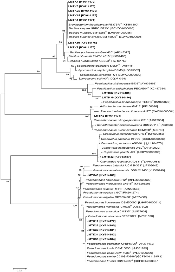 Figure 3.