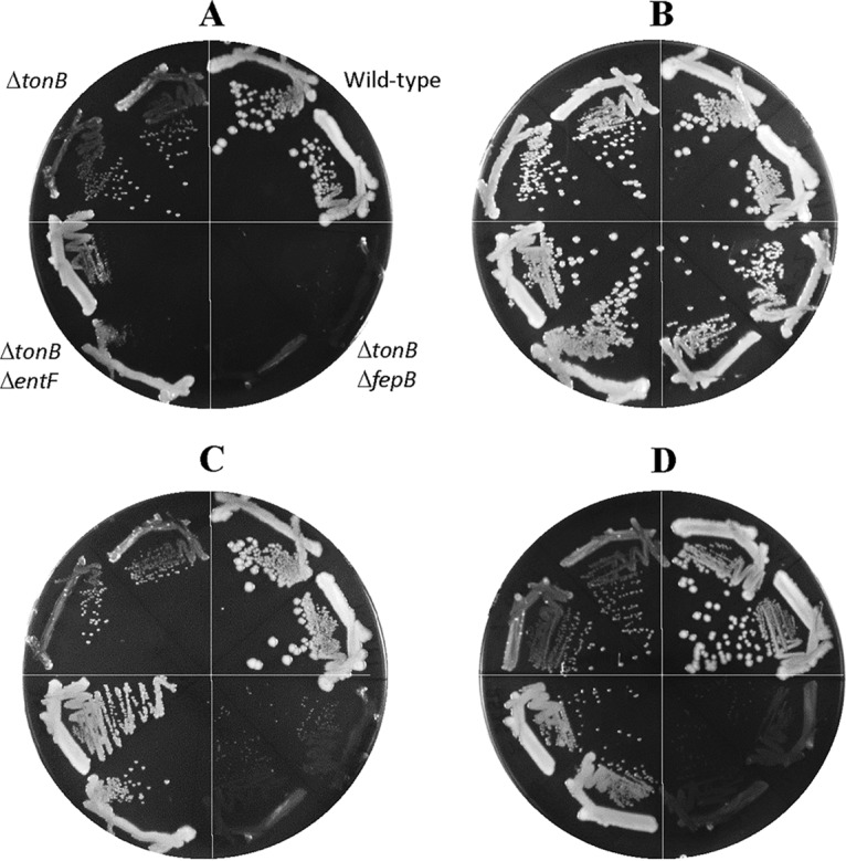 FIG 4