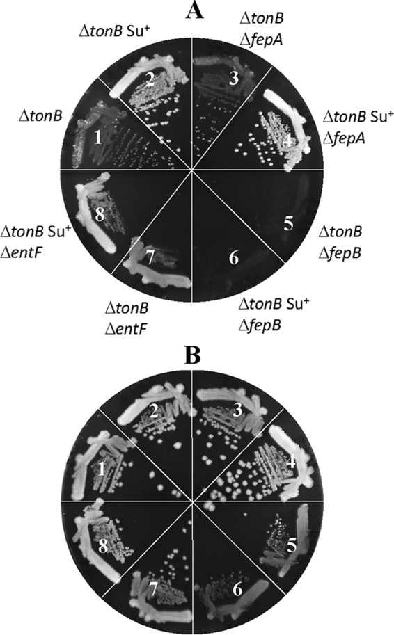 FIG 3