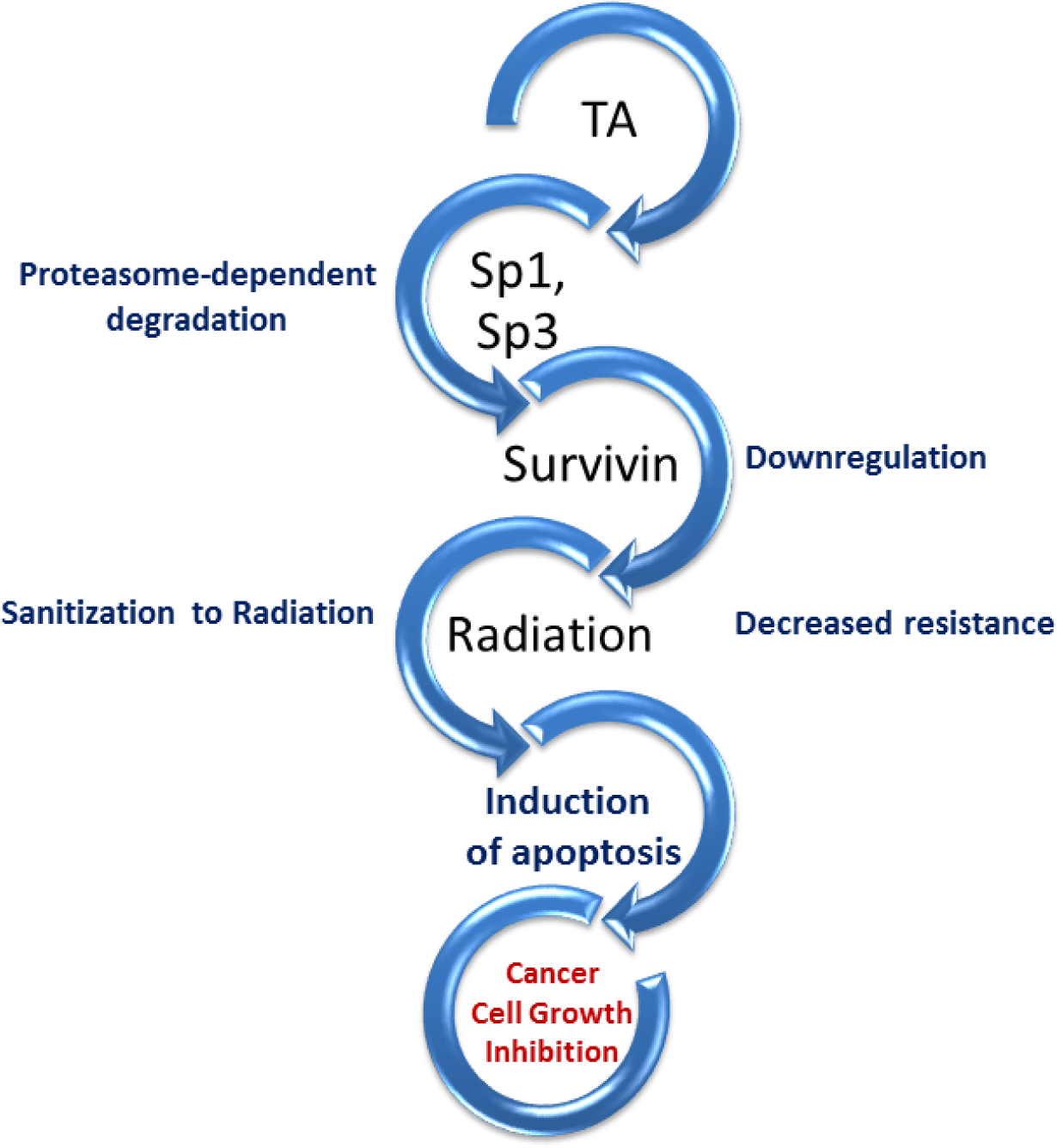 Figure 3: