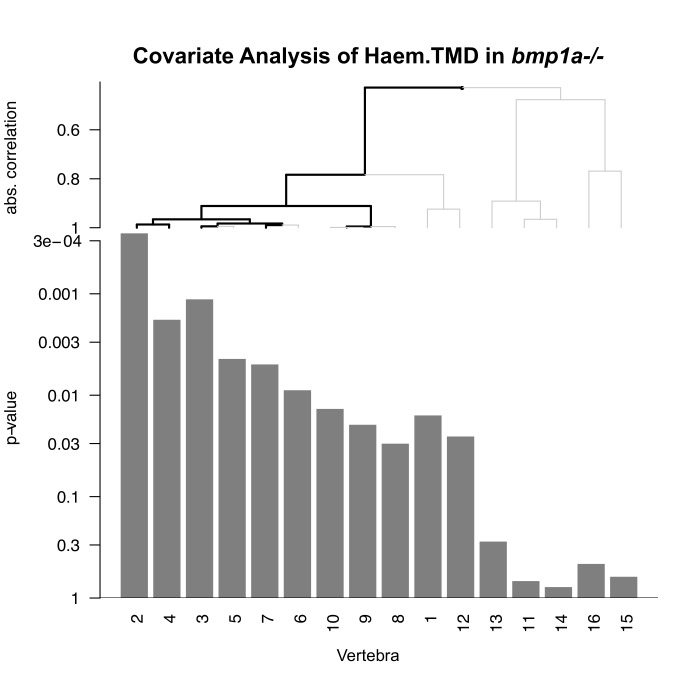 Figure 5—figure supplement 1.