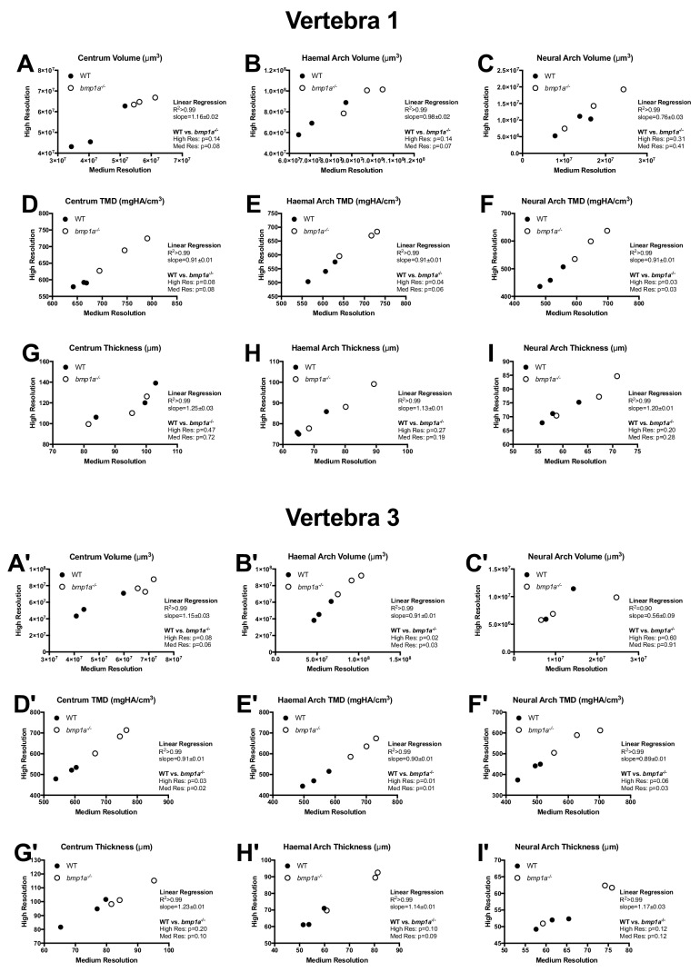 Figure 3—figure supplement 1.