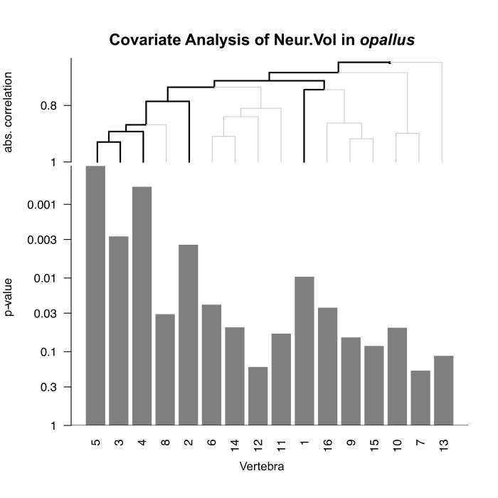 Figure 9—figure supplement 1.