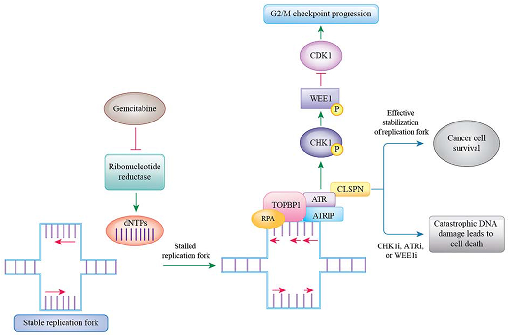 Figure 2: