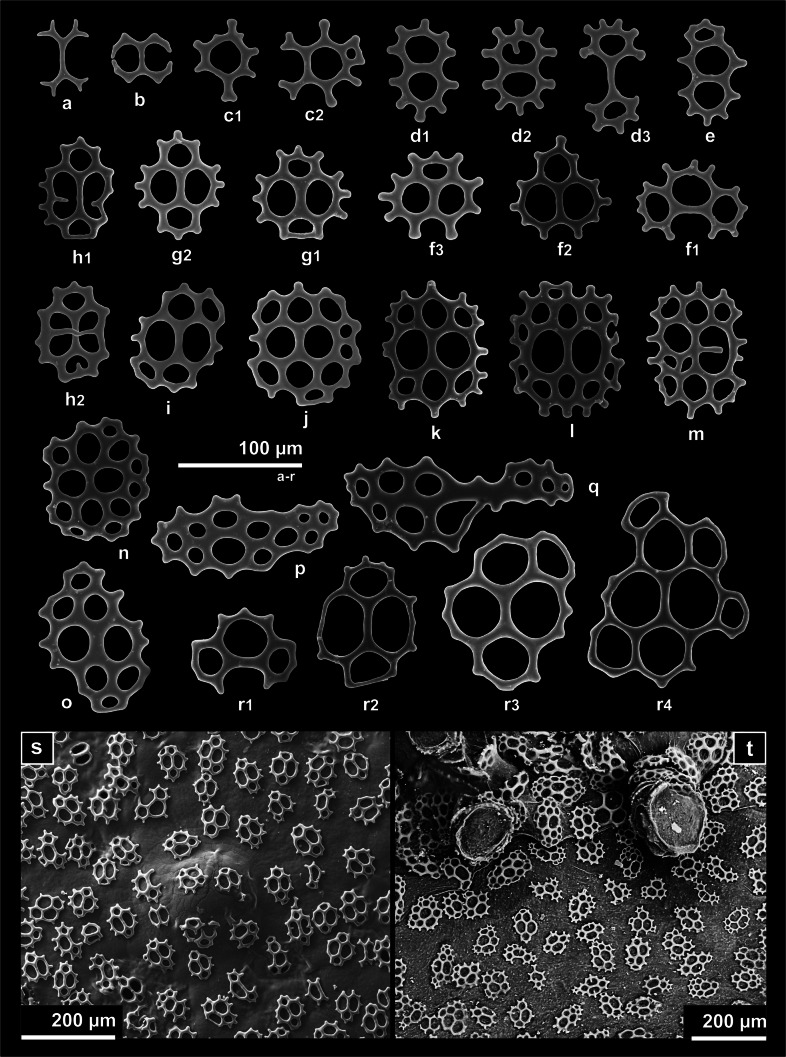 Fig. 5