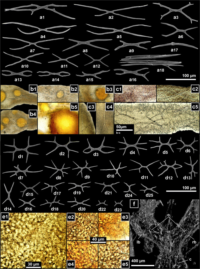 Fig. 12