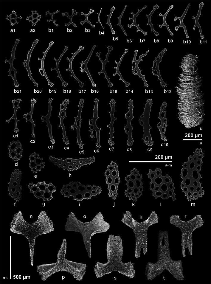 Fig. 8