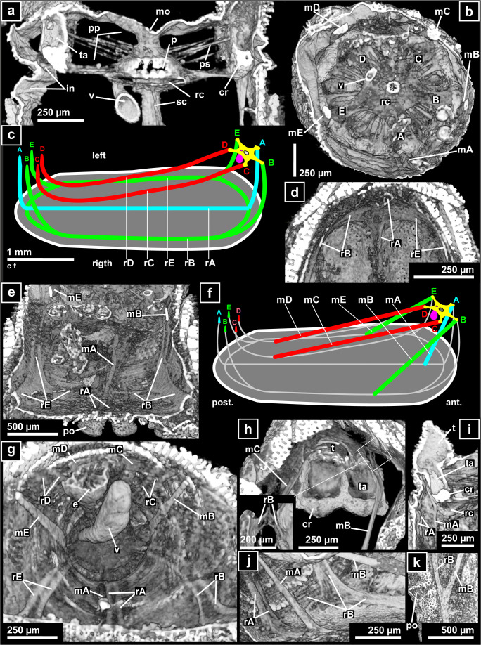 Fig. 10