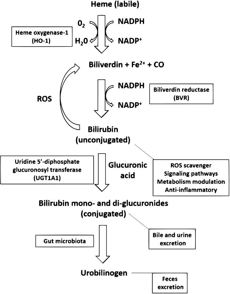 Fig. (2)