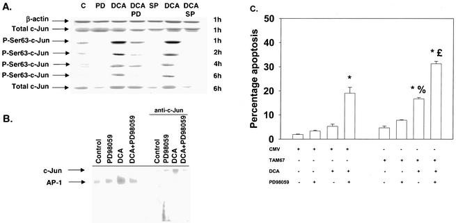 FIG. 7.