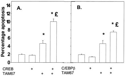 FIG. 8.