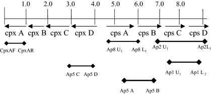 FIG. 1.