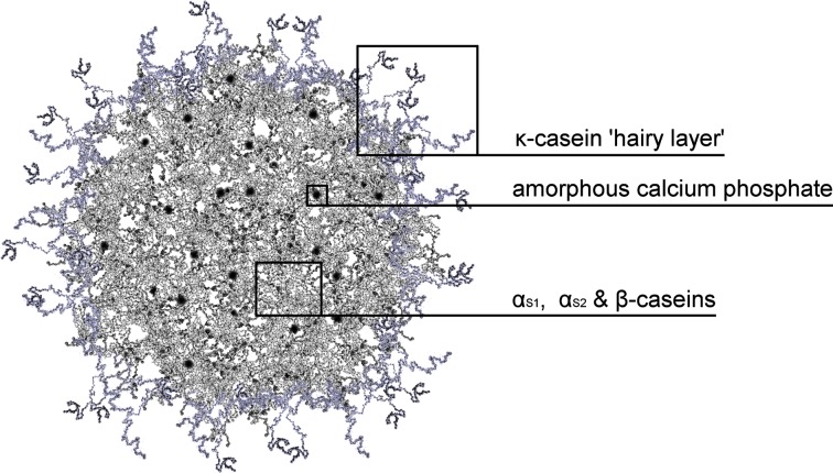 Fig. 3