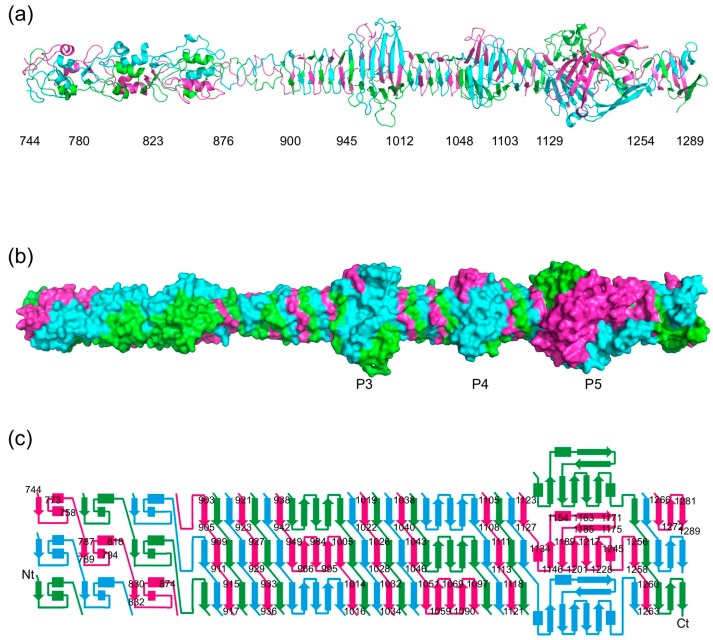 Figure 2