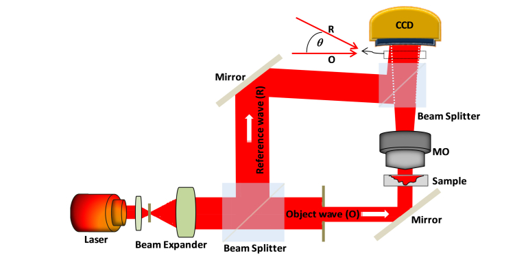 Fig. 1