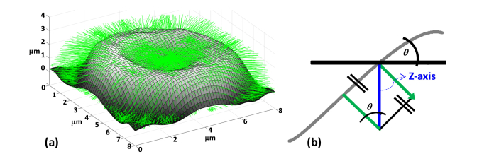 Fig. 5