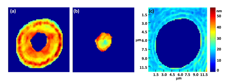 Fig. 6