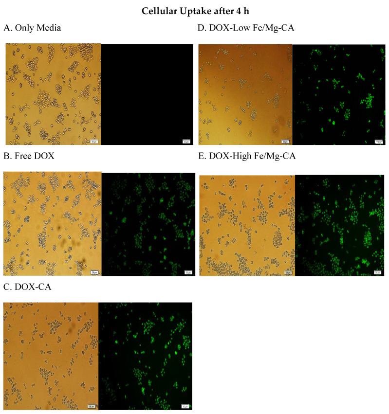 Figure 13