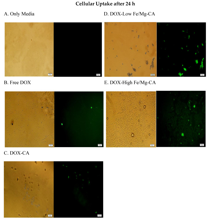 Figure 14